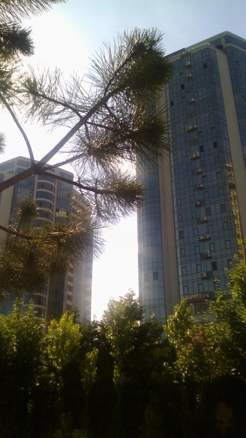 Dolphin Apartment Odessa Ngoại thất bức ảnh